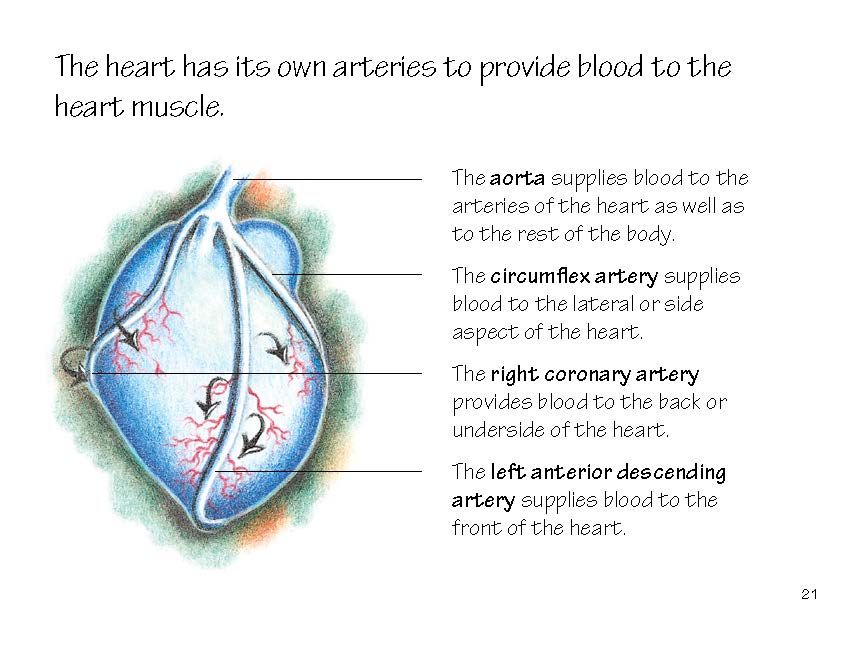 Heart Disease: what you should know